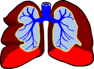 enfermedades respiratorias